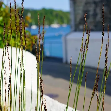 Luxury By The Harbour In Сasa de vacaciones